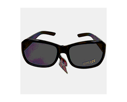 REGAL Adult Sunglasses Plastic Frame