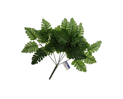Fern Bush, 7 Heads, Assorted