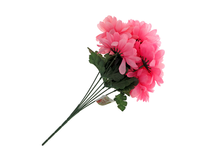 6 Head Mum bush (Chrysanthemum)