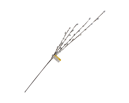 Pussy Willow Stems
