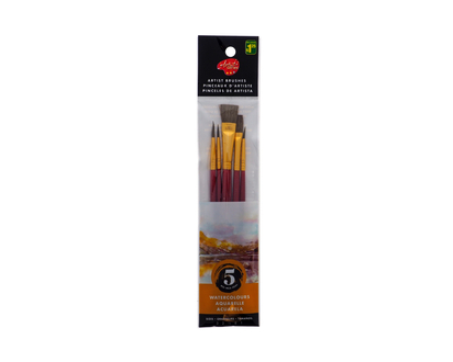 Artist Paint Brush Set, 5 Pack - Assorted
