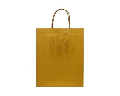 Sac à Cadeau grand e/fini solide embossé - 10pox13pox6po