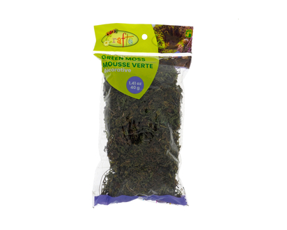 Green Moss In A Bag