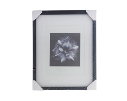 Thick Frame With Matting - Assorted - 8"x10"