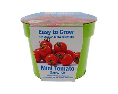 Vegetable Seed Kit