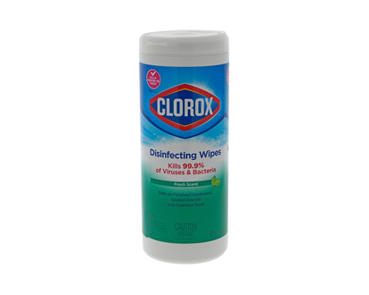 Disinfecting Wipes - Fresh Scent, 35pc - 35ct