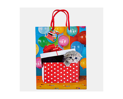 Large Birthday/Party Bags - 10.25"x32.4"x5"