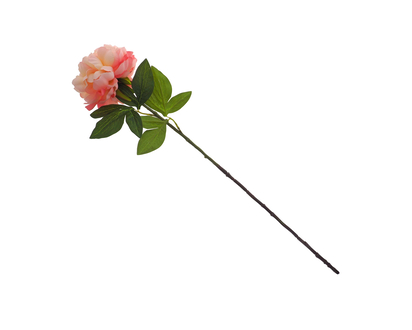 Plastic Long Stem Peony Flower, 2 Stems - 30.5"