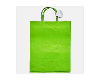 Grand sac en papier brun a/poignées, 2pc - 10.25pox12.75pox5po
