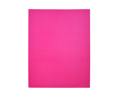 Neon Pink Bristol Board - 22"x28"