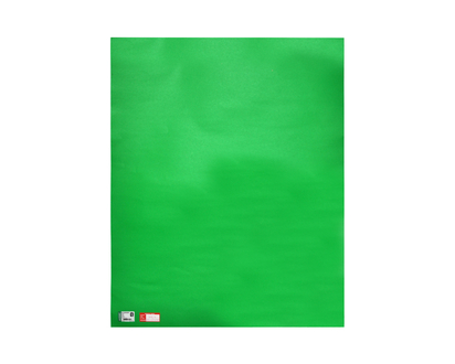 Green Bristol Board - 22"x28"