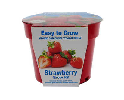 Strawberry Kit