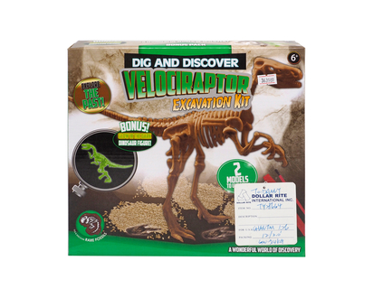 Ens de dinosaure à découvrir