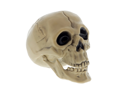 Halloween-Crâne avec mâchoire mobile - 18.5cmx12.5cmx13.5cm