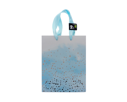 Sac cadeau medium à rayures 2un - 18cmx23cmx10cm
