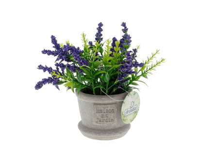 Lavender In Cement Look Paper Pot - 8cmx16.5cm