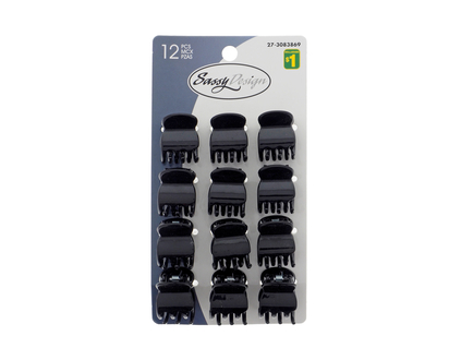 Petites pinces à cheveux assorties, 12pc - Pqt de 12