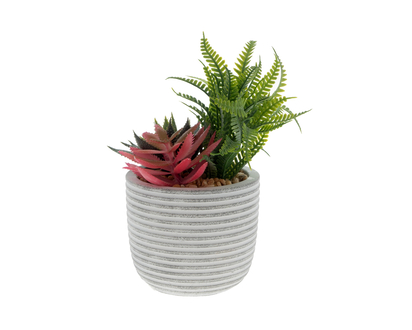 Potted Succulents In Marble Look Cement - 9.5cmx8.5cm