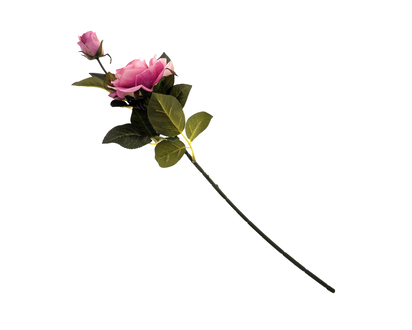 Open Rose On Long Stem W/ Small Bud - 24.4"/62cm