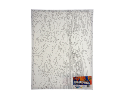 Paint By Number Wood Framed - 20"x16"