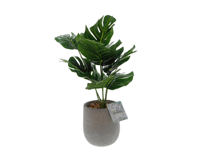 Potted Tropical Plant In Cement Pot - 15.7" (39.9cm)