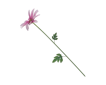 Large Metal Garden Flower - 87 CM