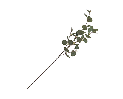 Eucalyptus Leaves&Flower Buds On Stem - 33"/41"
