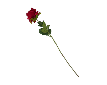 Single Rose W/ Leaves On Long Stem - 27.5"