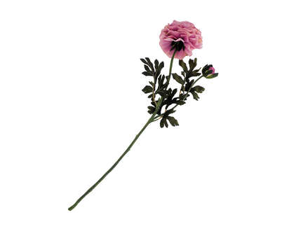 Cabbage Rose & Rose Bud On Long Stem - 23"/58.4cm