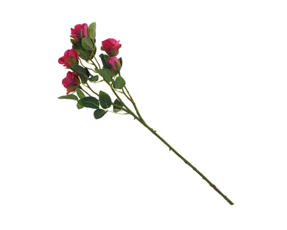 Rose Bush - 24"/61cm