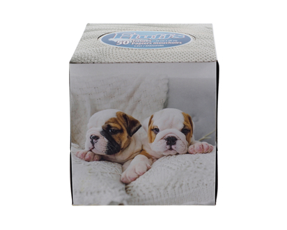 Softer Facial Tissue, 50pc - 50ct