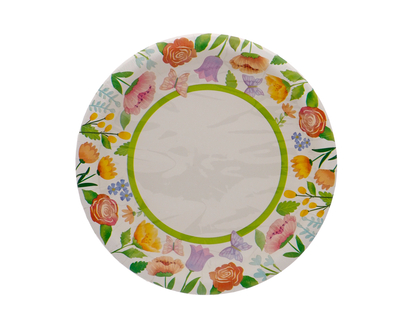 Printed Paper Plates, 20pc - 20CT, 10"