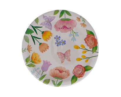 Printed Paper Plates, 40pc - 40CT, 6.75"