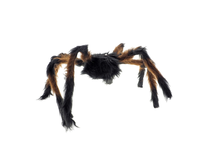 Halloween-Grande araignée velue - Grande