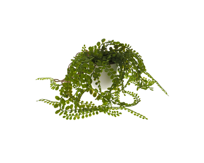 Hanging Plant In White Plastic Pot - 35"/39 cm TOTAL
