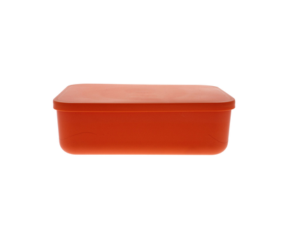 Colored Rect Container - 25.6X18X8 CM