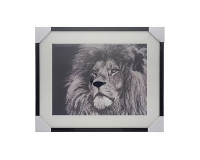 12x16in Large Photo Frame w/Mat - 12''x16"