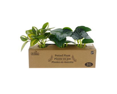 3pk Plastic Plants in Pots - 3pk