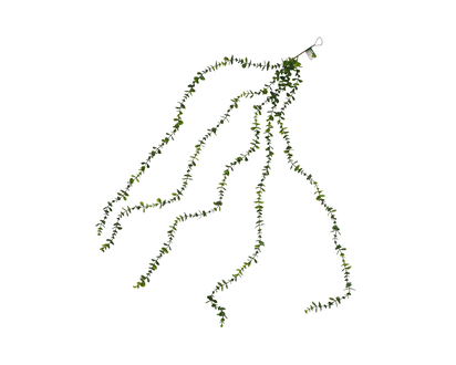 4ft Hanging Eucalyptus Plant - 4ft/121cm