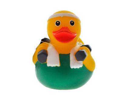 PVC Duck