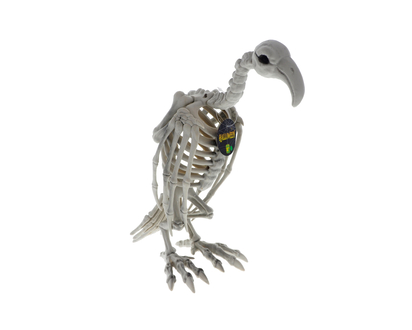 Halloween Standing Large Bird Skeleton - Assorted