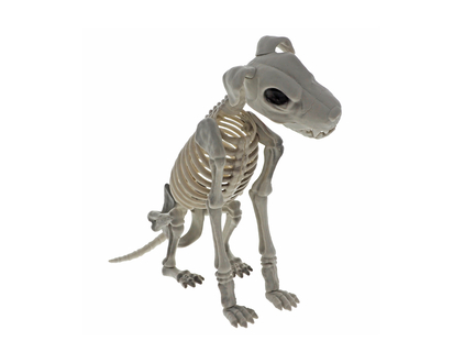 Halloween Large Dog Skeleton Table Decor - 41cmx13.5cmx31.5cm