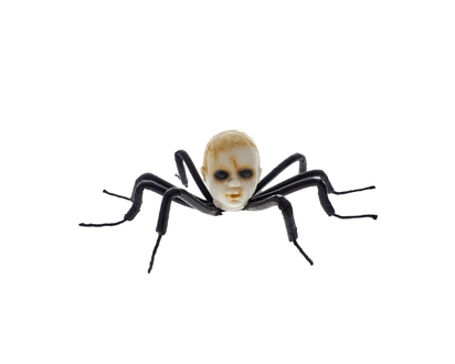 Halloween Spider Baby Head