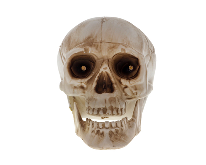 HALLOWEEN Light Up Plastic Skull
