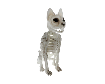 HALLOWEEN Large Plastic Cat Skeleton