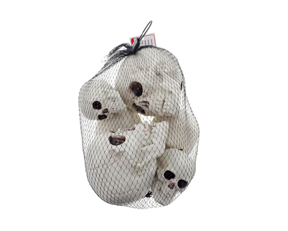 HALLOWEEN 6pk 3 Sized Plastic Skulls - 6pk