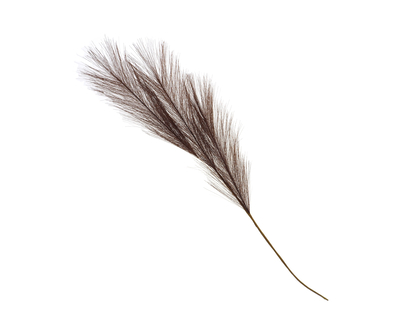 BOUQUET 17" Short Pampas Grass Stem - 17"
